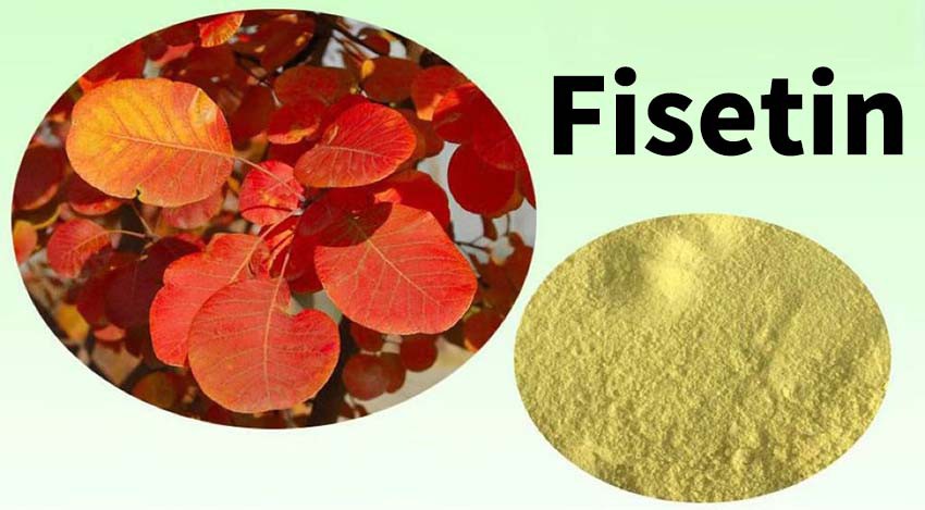 Fisetin-1 Fisetin-1