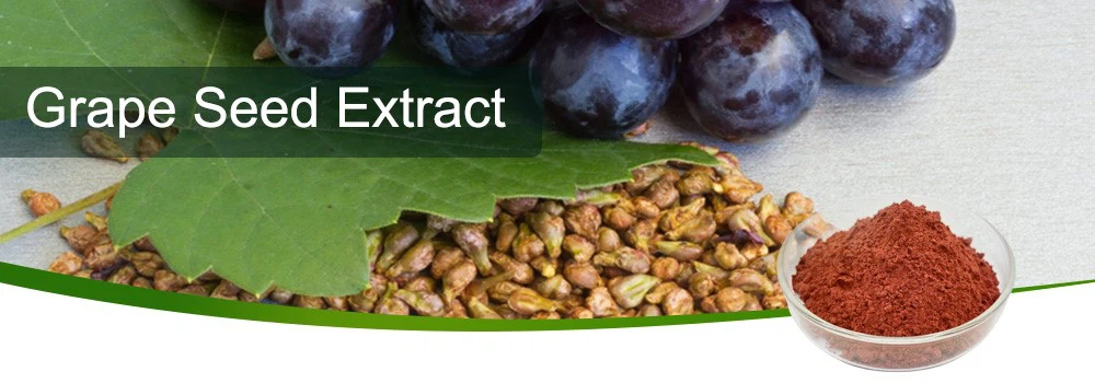 grape seed extract-1 grape seed extract-1