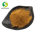 Lotus Leaf Extract Nuciferine