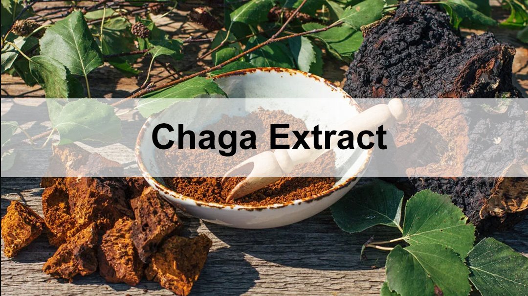 Chaga extract 4