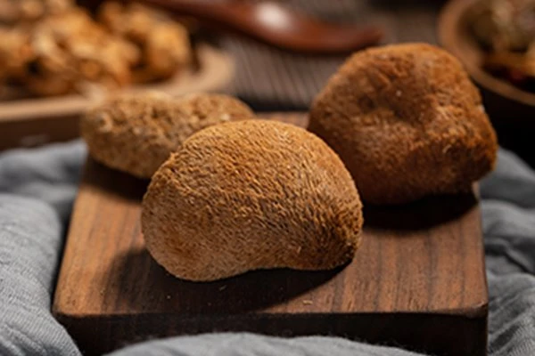 Lion's mane mushroom extract powder