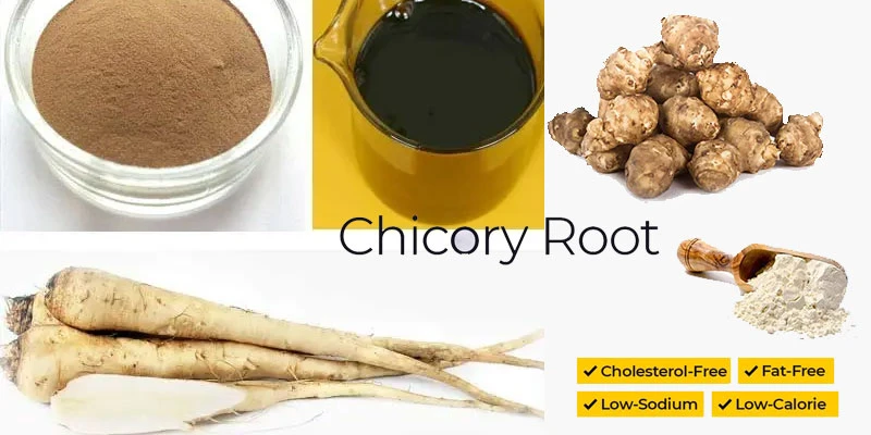 Chicory-Root-Powder-pic