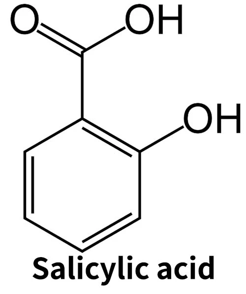 Salicylic Acid-2 Salicylic Acid-2