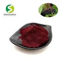 Svart hyllebærpulver