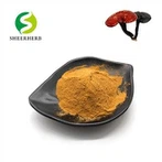 Reishi soppekstraktpulver