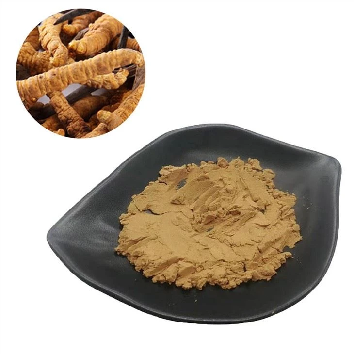Cordyceps polysakkarid