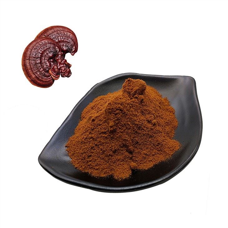 Ganoderma Lucidum pulver