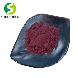 Arnebia Euchroma Root Extract
