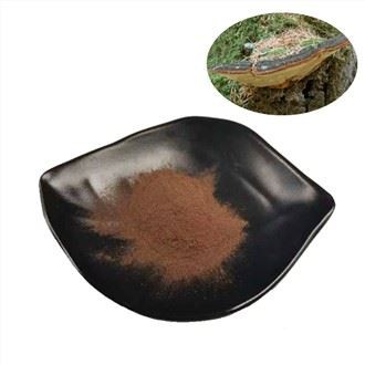 Phellinus Linteus-ekstrakt