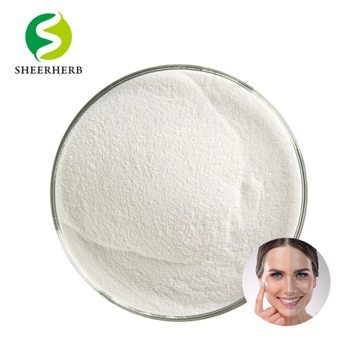 Bifida fermentlysat