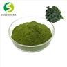 Kale Powder