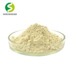 Vitamin Mineral Pulver