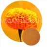 Water Soluble Lutein Microcapsules Powder